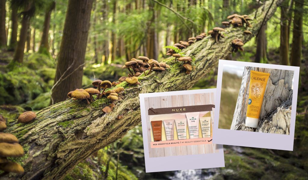 Beauty essentials that you need for vacations on rural destinations