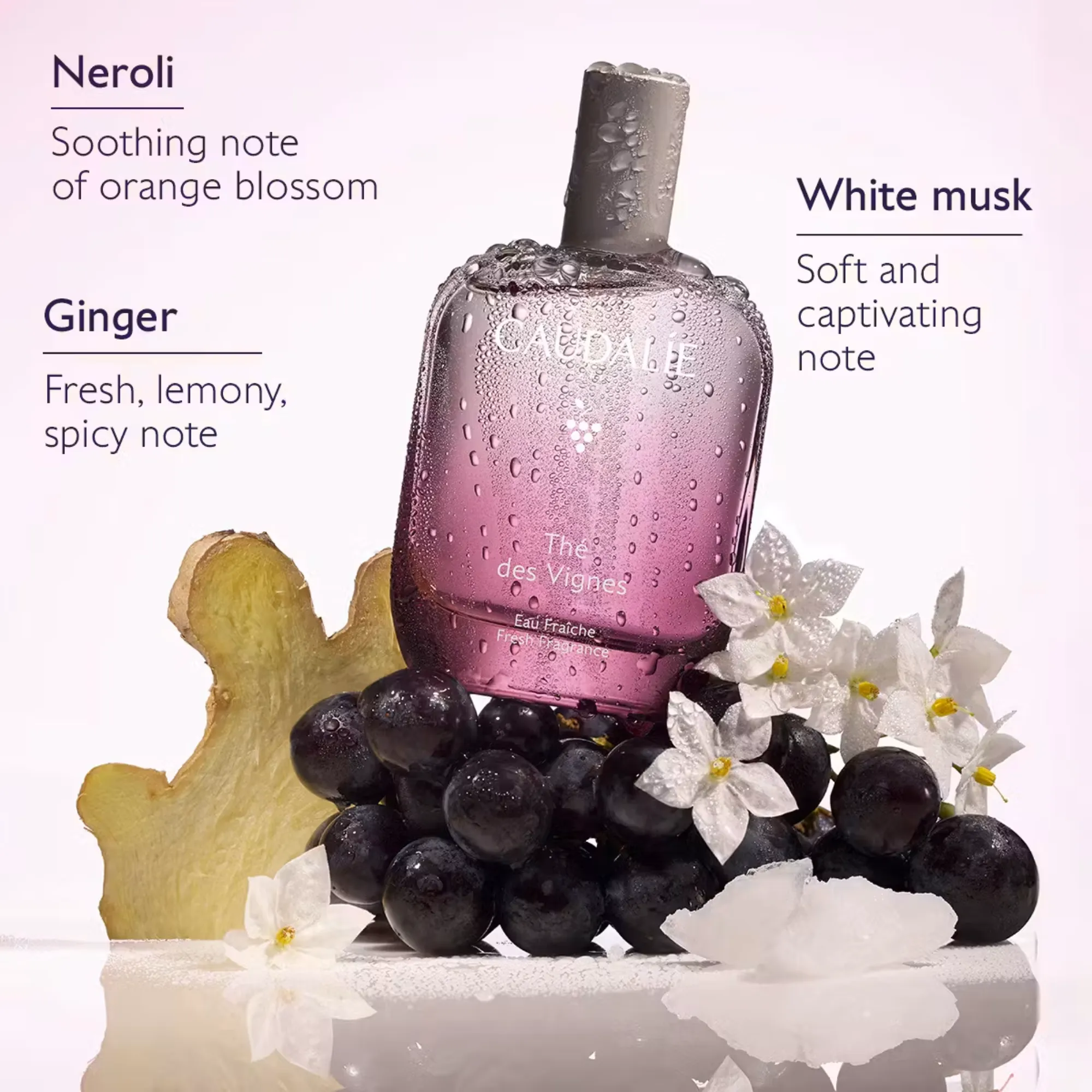 Lyskin-caudalie-the-des-vignes-fresh-fragrance-50ml-1-6fl-oz-CDL00075 (3)_resultado