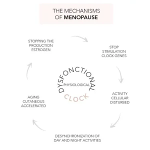 Lierac Arkéskin The Menopause Routine