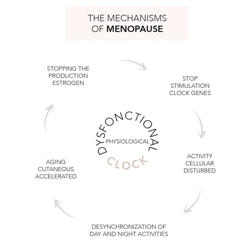 Lierac Arkéskin The Menopause Routine